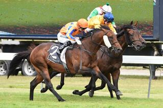 Group 1 Triumph for Karaka Graduate Hall Of Fame (NZ). Photo: Race Images, Palmerston North.
